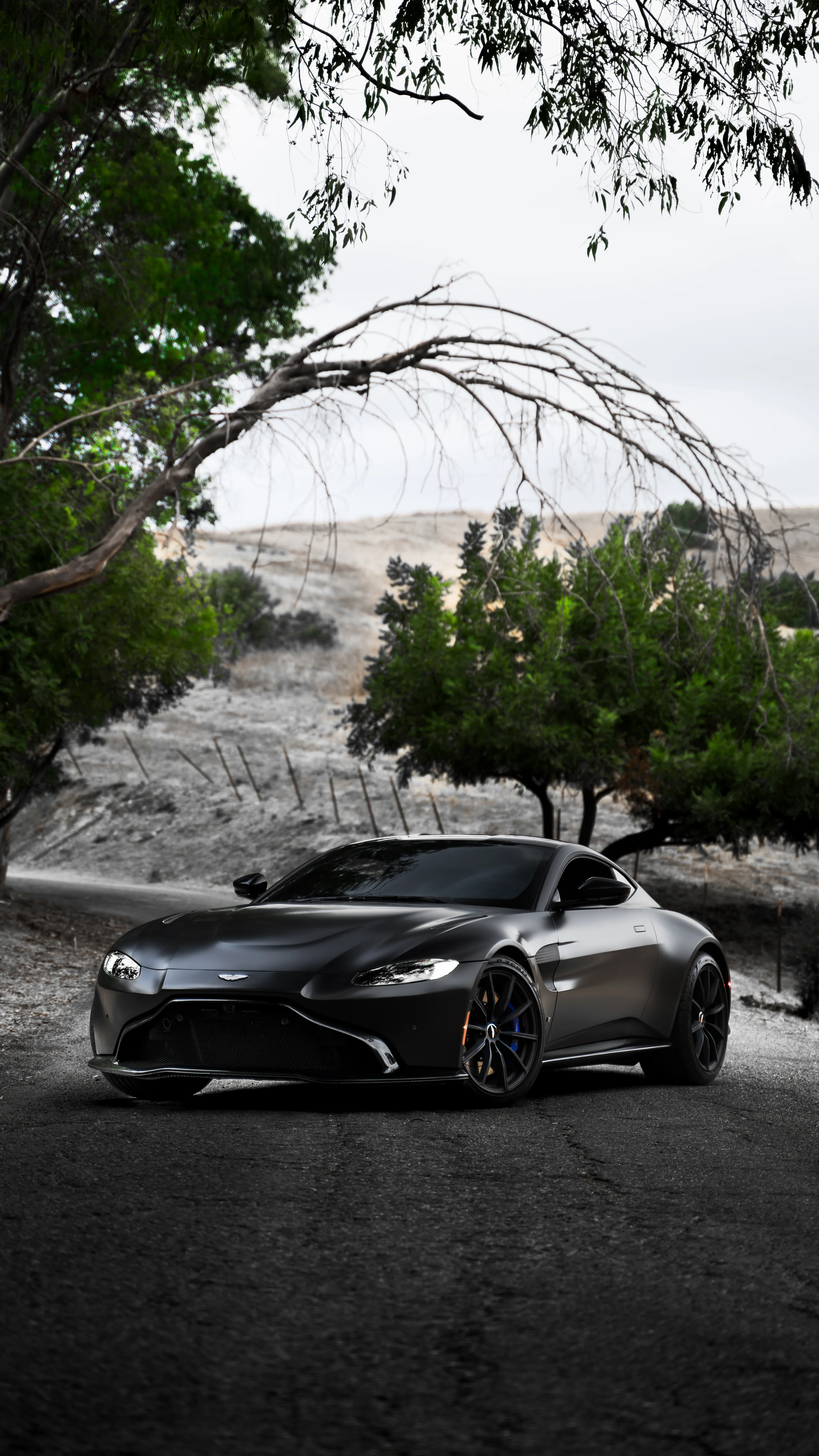 Aston Martin Vantage — photo 62